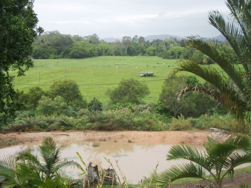 North Arm QLD 4561