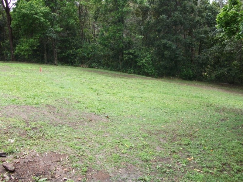 North Arm QLD 4561