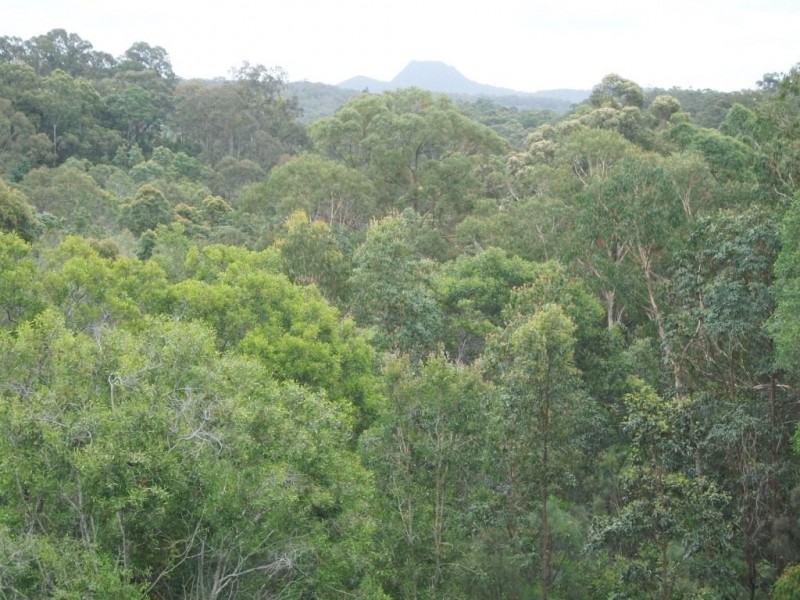 Yandina Creek QLD 4561