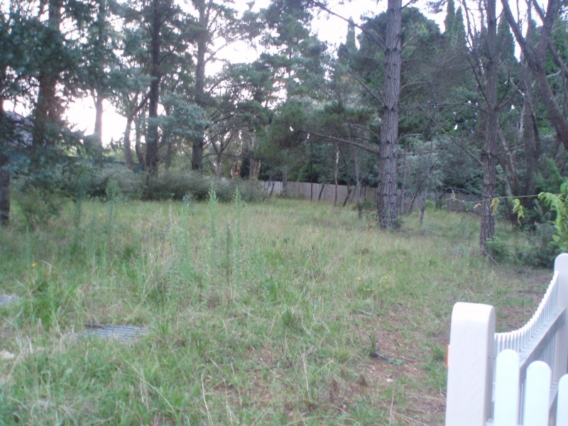 49 Waratah Rd, Wentworth Falls NSW 2782