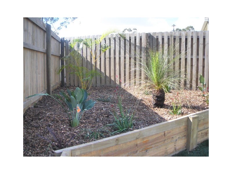19 Bellthorpe Crescent, Waterford QLD 4133