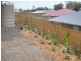 27 Eric Drive, Blackstone QLD 4304