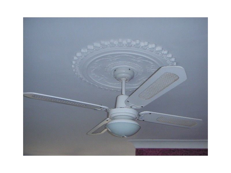 19 Brabant Street, Loganlea QLD 4131