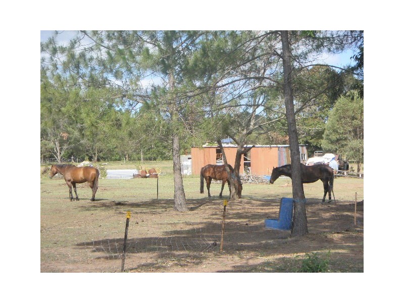 19 Brabant Street, Loganlea QLD 4131