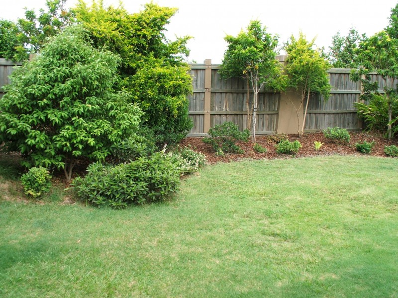 17 Raymont Street, North Lakes QLD 4509