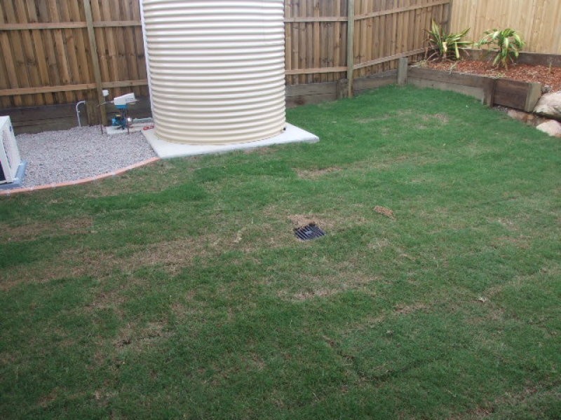 51 Numbat Street, North Lakes QLD 4509