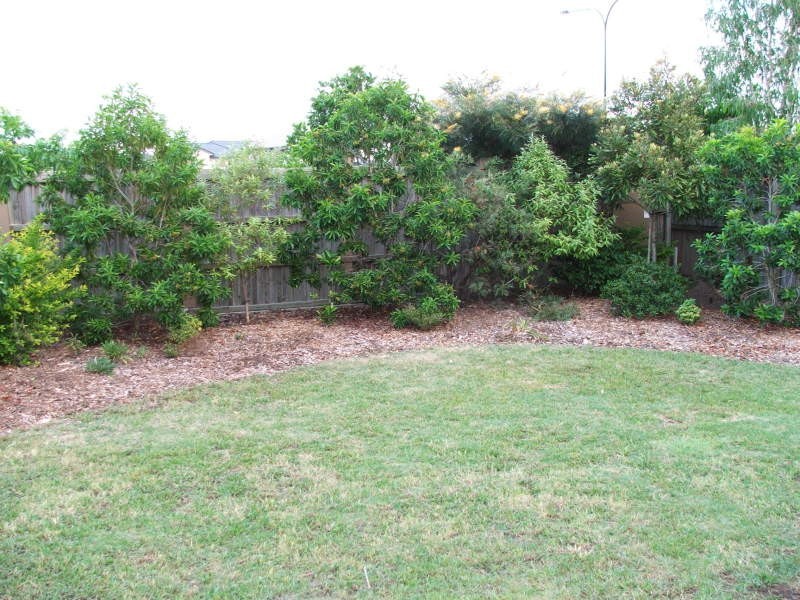 3 Raymont Street, North Lakes QLD 4509