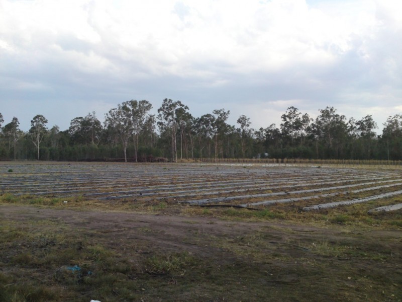 Churchable QLD 4311