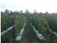 Churchable QLD 4311