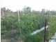 Churchable QLD 4311