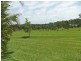 James Creek NSW 2463