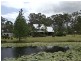 Maclean NSW 2463