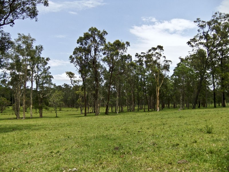 Maclean NSW 2463