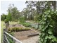 Maclean NSW 2463