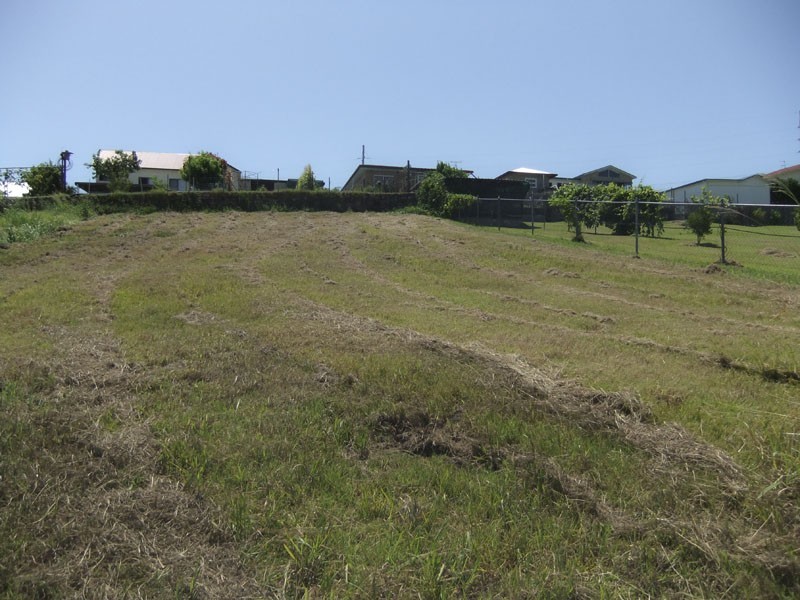 Maclean NSW 2463