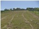 Maclean NSW 2463