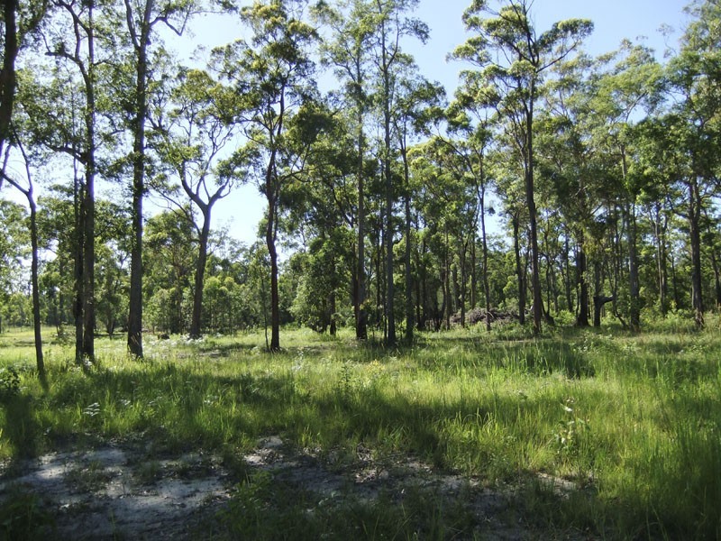 Gulmarrad NSW 2463
