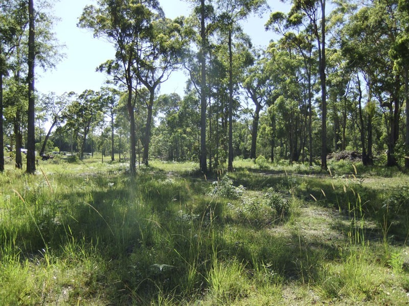 Gulmarrad NSW 2463