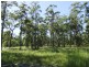 Gulmarrad NSW 2463