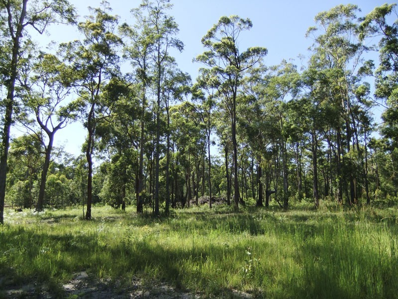 Gulmarrad NSW 2463