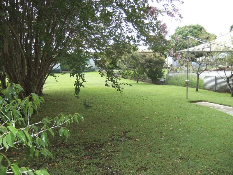 Maclean NSW 2463
