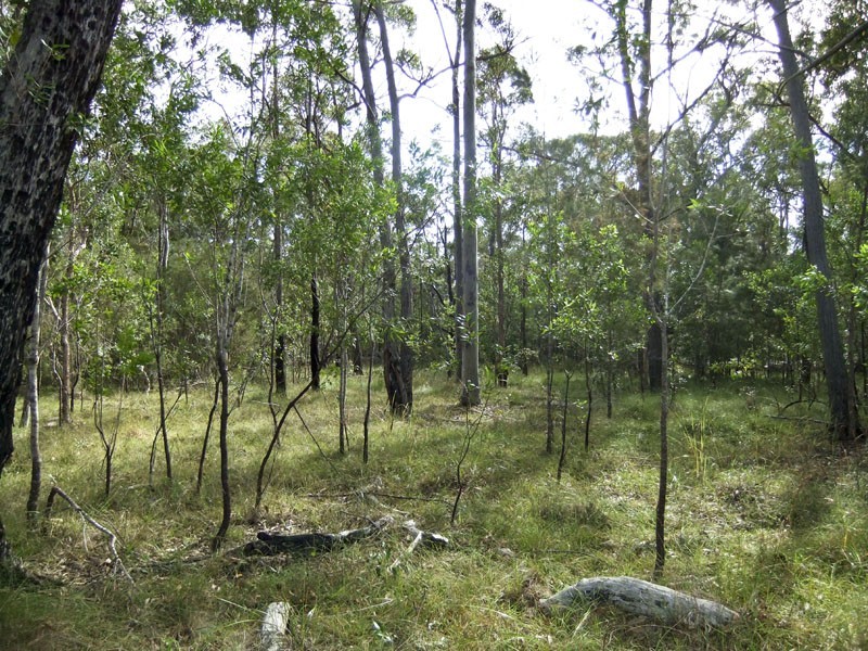 Shark Creek NSW 2463