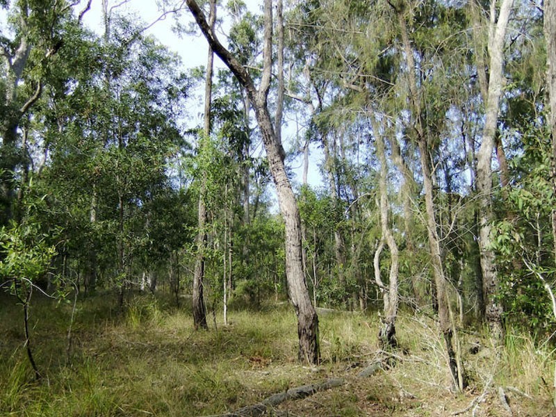 Shark Creek NSW 2463