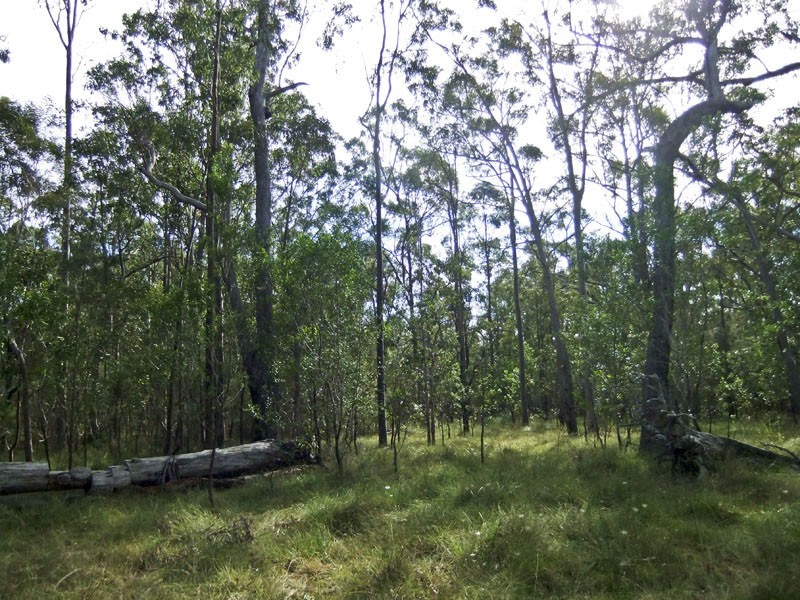 Shark Creek NSW 2463