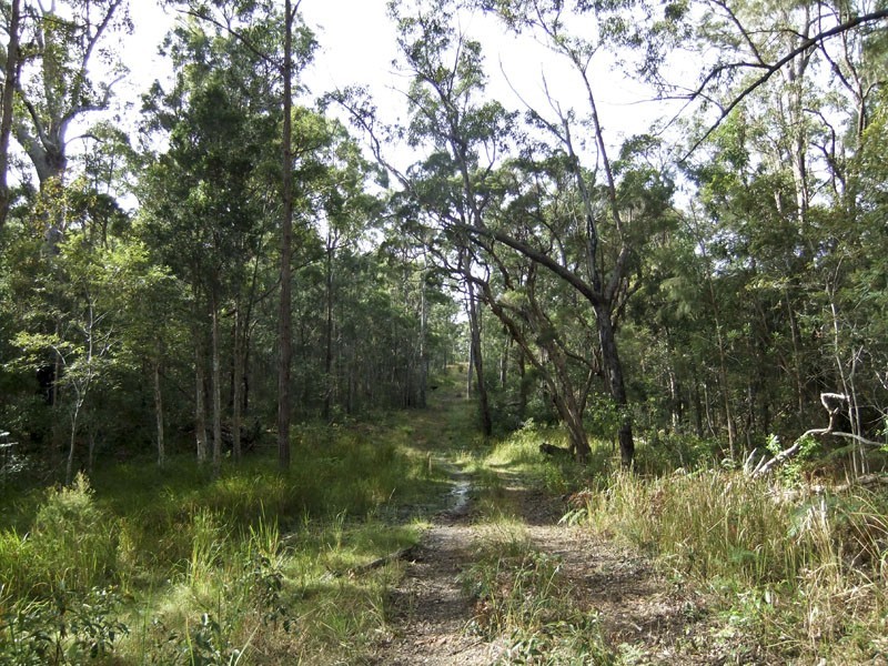 Shark Creek NSW 2463