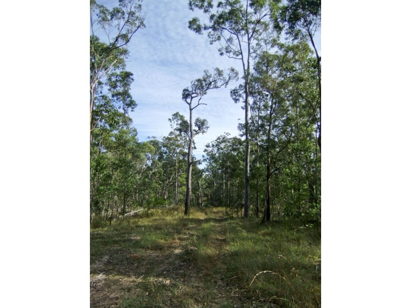 Shark Creek NSW 2463