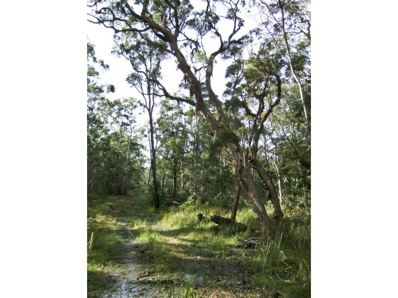Shark Creek NSW 2463