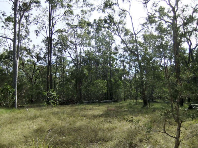 Shark Creek NSW 2463