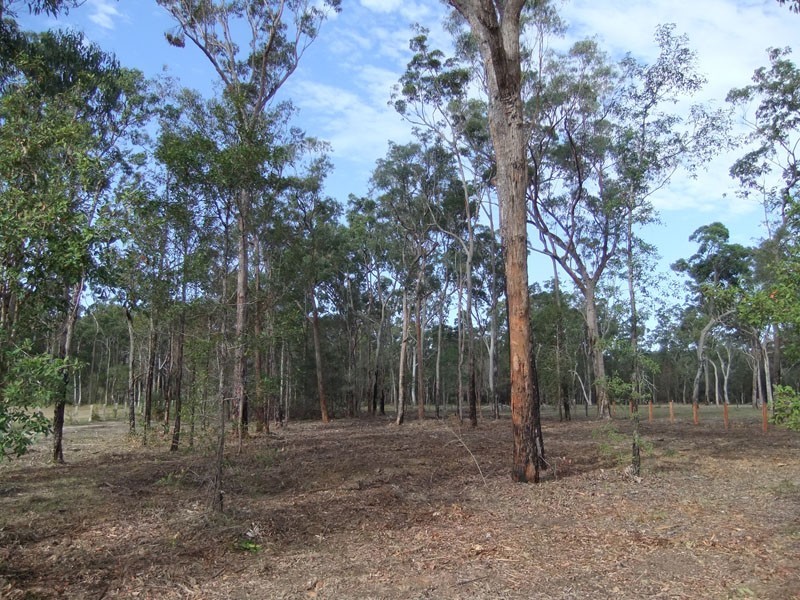 Gulmarrad NSW 2463