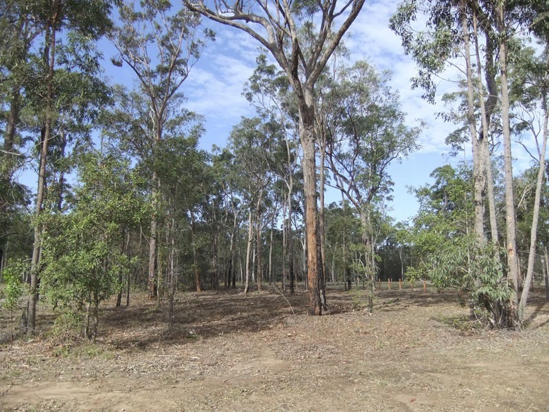 Gulmarrad NSW 2463