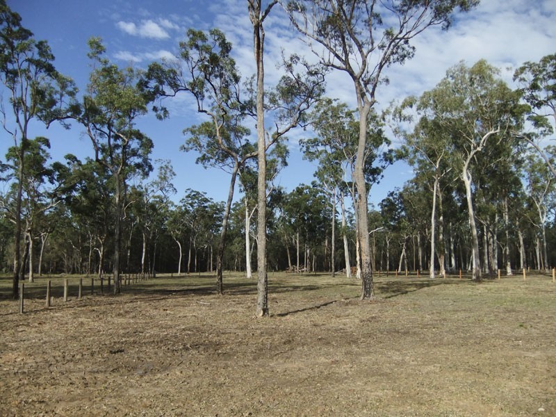 Gulmarrad NSW 2463