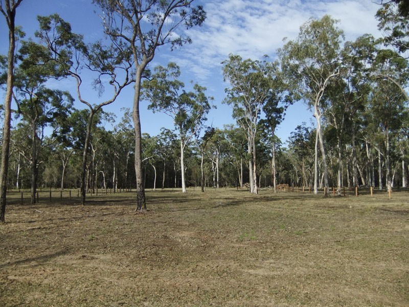 Gulmarrad NSW 2463