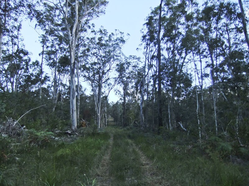 Shark Creek NSW 2463