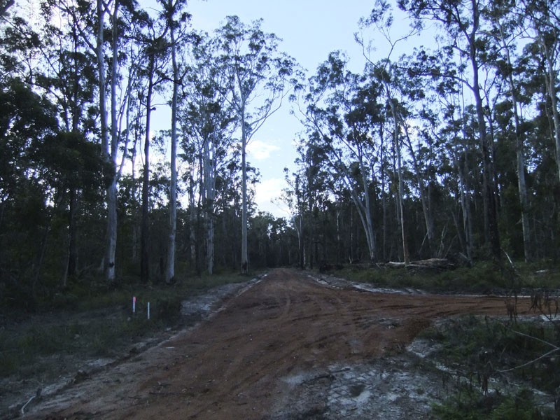 Shark Creek NSW 2463
