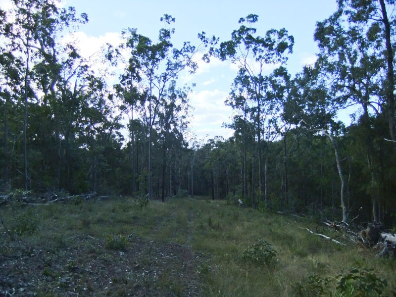 Shark Creek NSW 2463