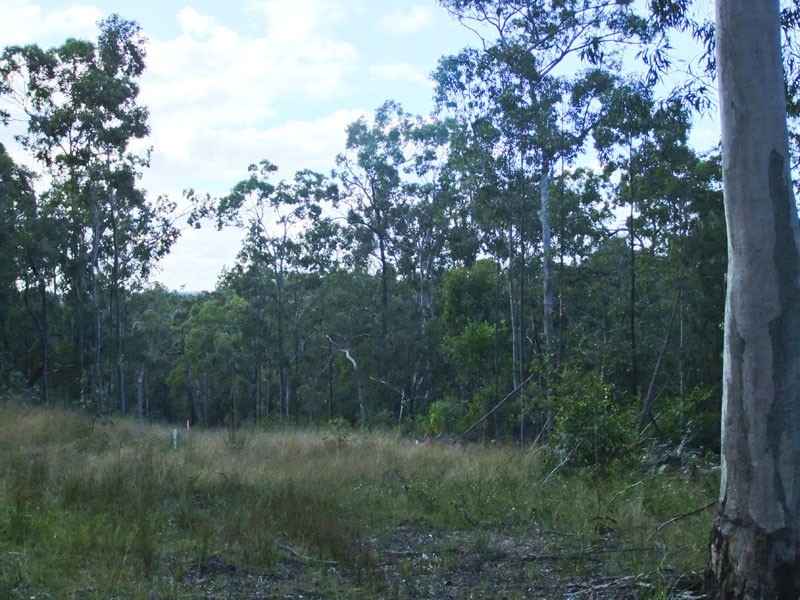Shark Creek NSW 2463