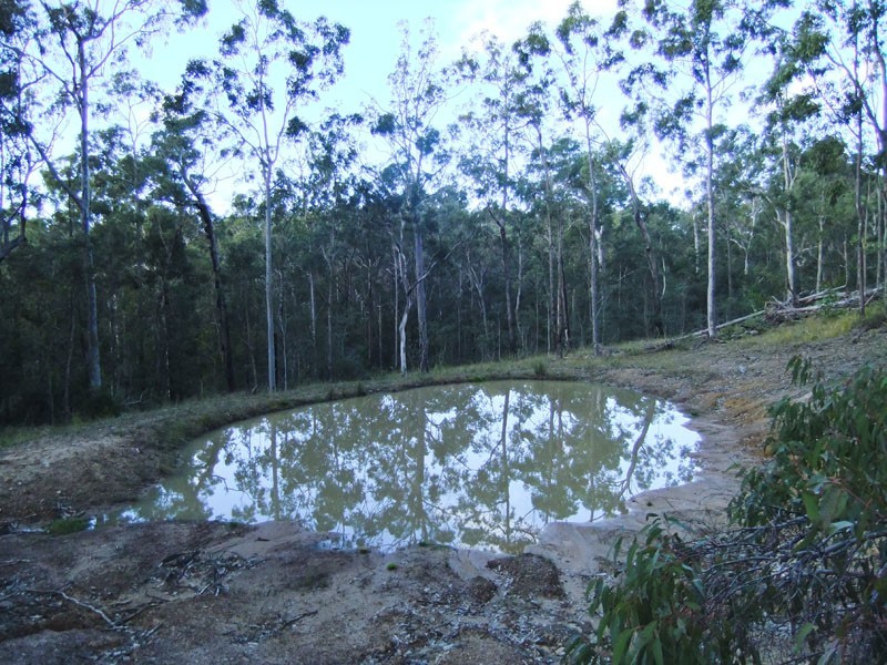 Shark Creek NSW 2463