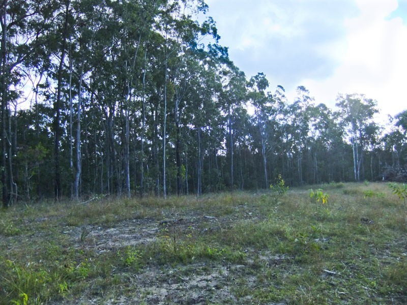 Shark Creek NSW 2463