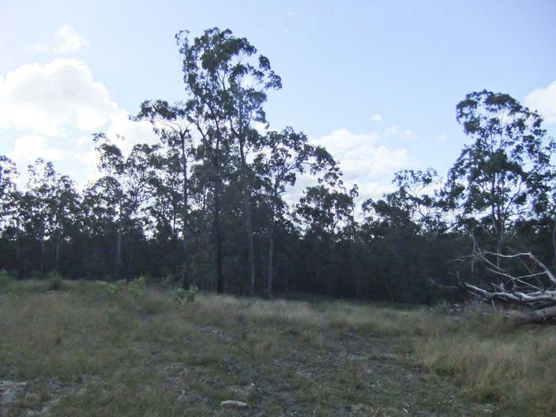 Shark Creek NSW 2463