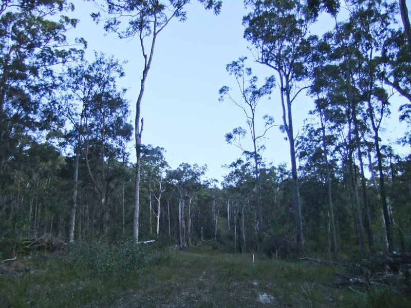 Shark Creek NSW 2463