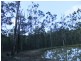 Shark Creek NSW 2463