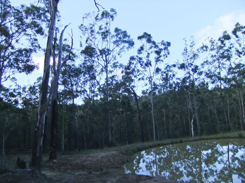Shark Creek NSW 2463