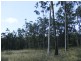 Shark Creek NSW 2463