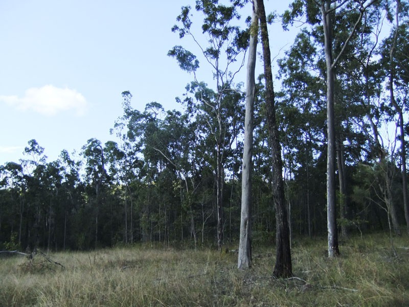 Shark Creek NSW 2463