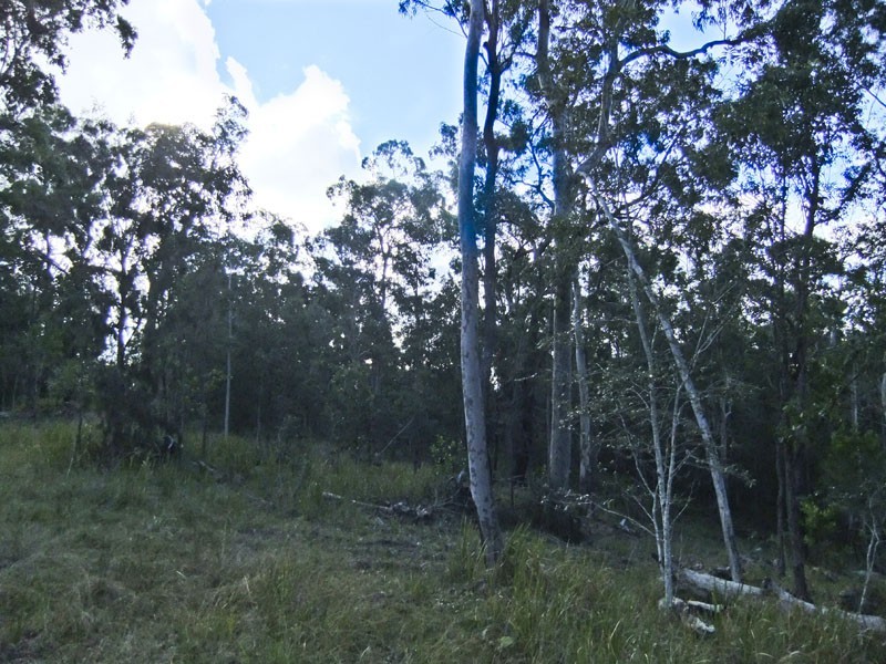 Shark Creek NSW 2463