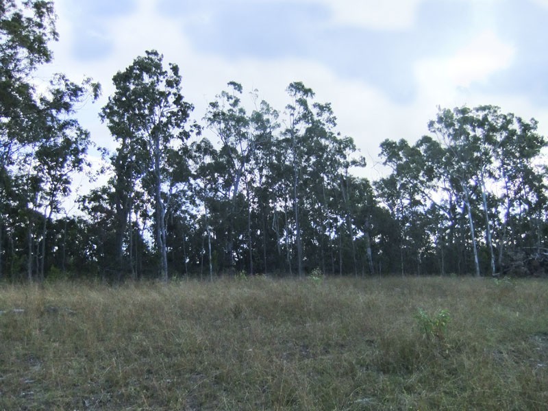 Shark Creek NSW 2463
